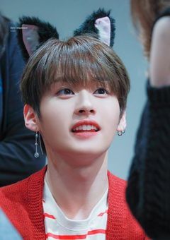 ツンデレな僕のペット