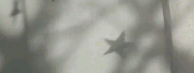 　　  　ㄴ　　　             　　　さんの壁紙画像