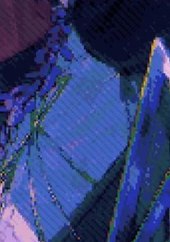 　ど こ か 歪 な 教 祖 サ マ【 njsj 】