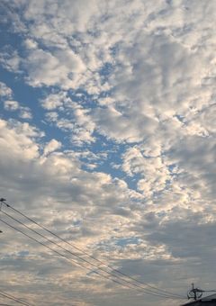 ただいま推し活中