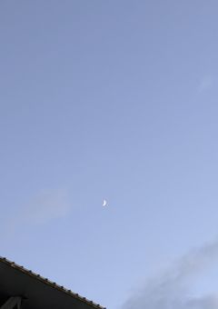 仮面を被った私は悪い子