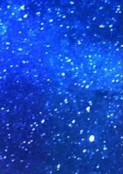 𝗣𝗶𝗰𝘁𝘂𝗿𝗲