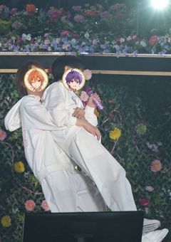 大家族橙野家 STPR