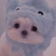  自己紹介のところのリンクから飛んでください😺さんのアイコン画像