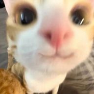 Rigさんのアイコン画像