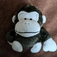 らい@眠いんじゃぁぁ！さんのアイコン画像