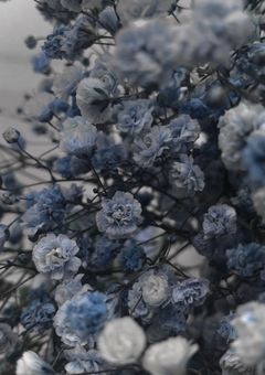 【🌈🕒EN】　短編集　。