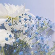 水野はあとさんのアイコン画像