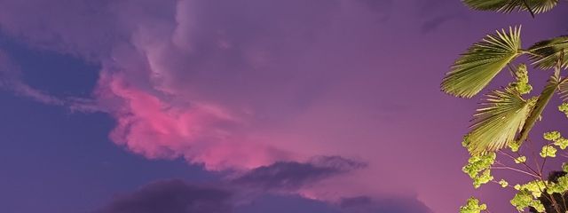 中野瞳👓🎧🌹さんの壁紙画像