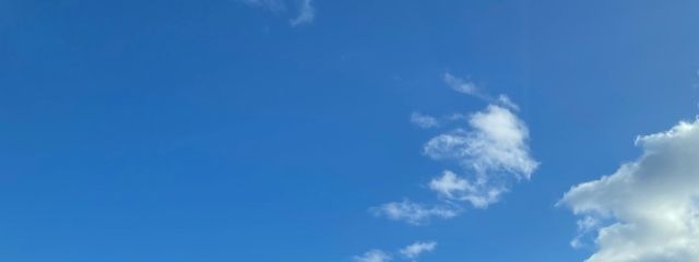 ぱすたうどん ✧*｡  頼まれたらフォロバさんの壁紙画像