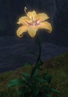 魔法の楽園