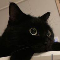 もつ鍋さんのアイコン画像