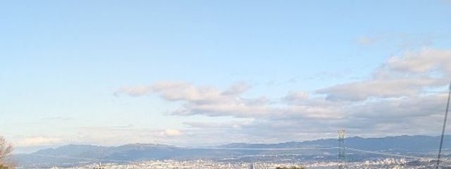 さみさんの壁紙画像