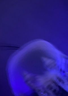 めちゃつえー 短編集 ⸝⸝꙳