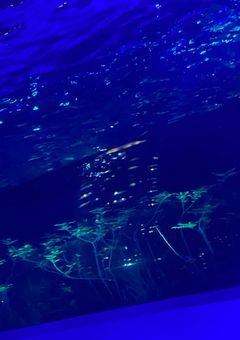 つえ ー × 夢主 短編集 【 参加型 】