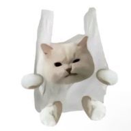ぐんれーさんのアイコン画像