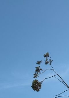 アニメ&歌い手&以下省略恋愛短編集〜♡（僕の知ってるアニメ以外は極力受け付けてないけど簡単に見れそうな短いアニメとかは受け付ける予定）