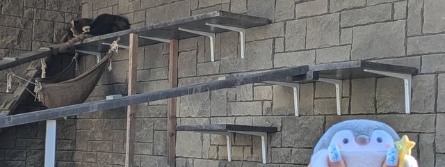 翠苑　@　メロジョイほしぃさんの壁紙画像