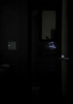 心霊屋敷で一夜を過ごしたらメンバーがヤンデレ化した件について、