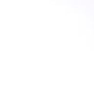 Shiさんのアイコン画像