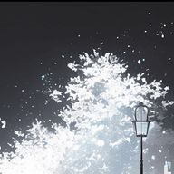 ⋆𝜗𝜚さんのアイコン画像