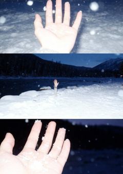 🎲￤うざいくらいに愛されてます