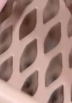 色々