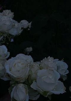 復元できない君を探して  。