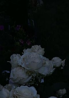 僕らが離れるなら  。