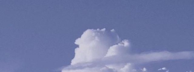 はちみつあぢさんの壁紙画像