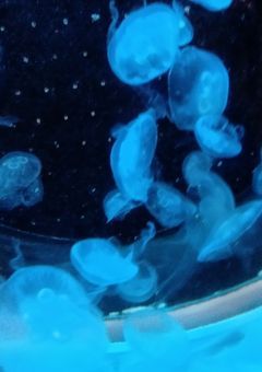 🎊記念日お祝い会🎉