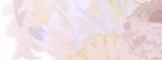 🍀🐾さんの壁紙画像