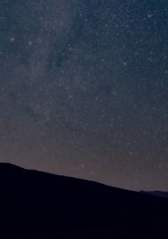 《生態前線》【参加型版】