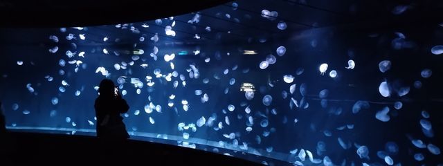 ヒトの雨宿りさんの壁紙画像