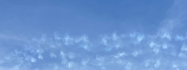 4=4さんの壁紙画像