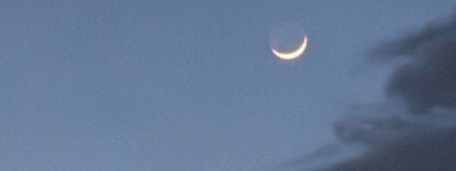 霜ノ月さんの壁紙画像