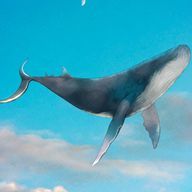 aoisabaknnさんのアイコン画像