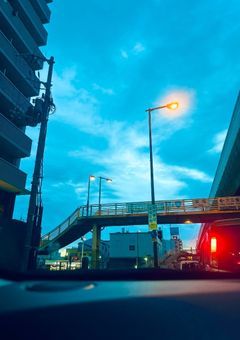 イラストor写真を貼るだけの場。