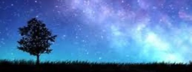 コハク🍭💭🎨@転生済みさんの壁紙画像