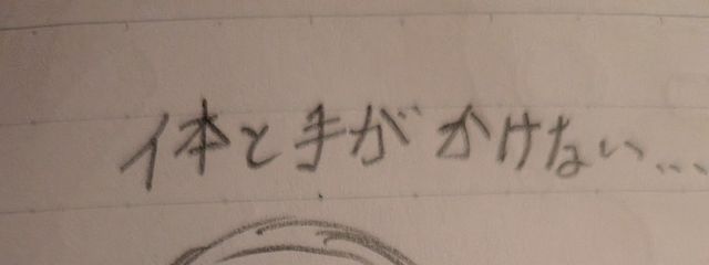 猫くんさんの壁紙画像