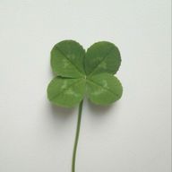 さとねさんのアイコン画像