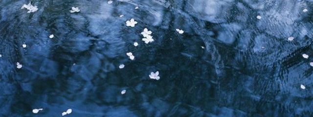 なるみさんの壁紙画像