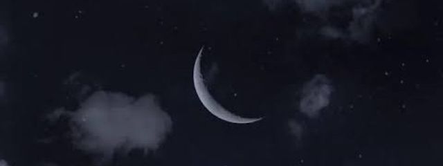 ランさんの壁紙画像