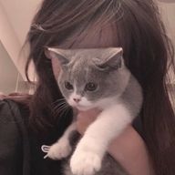 　Ⴋʓ₹‑　さんのアイコン画像
