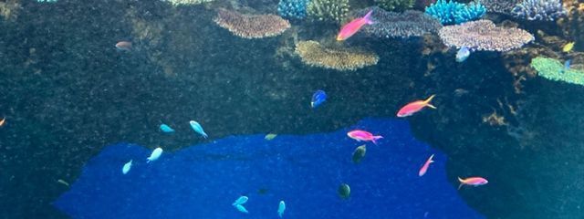 璃空さんの壁紙画像