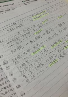 Let’s study with me！！