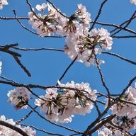 柚さんのアイコン画像