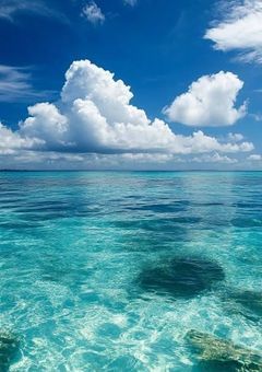 ‪ꔛ‬一緒に歩こうどこまでも‪ꔛ‬