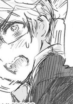 転生したら"また"国だった件