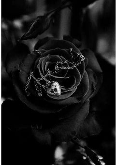 活休&〇〇回避コメチャレ